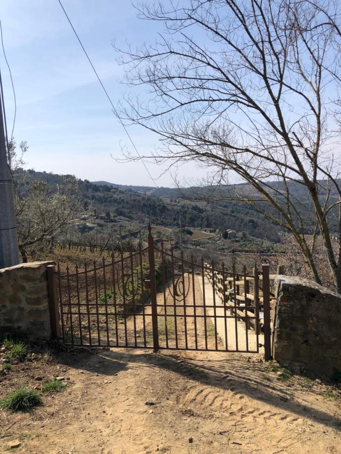 Podere Soccorso Casa Vigneto 몬탈치노 외부 사진