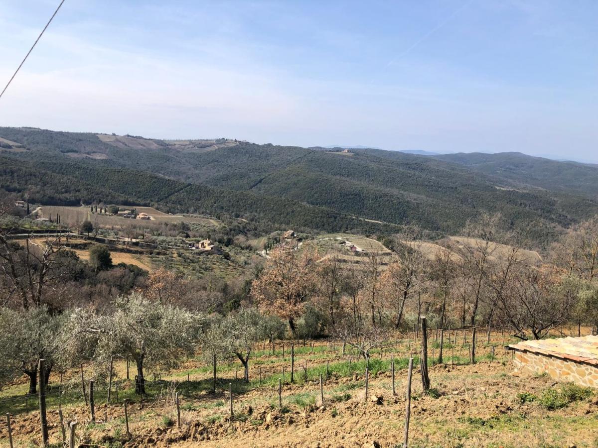 Podere Soccorso Casa Vigneto 몬탈치노 외부 사진