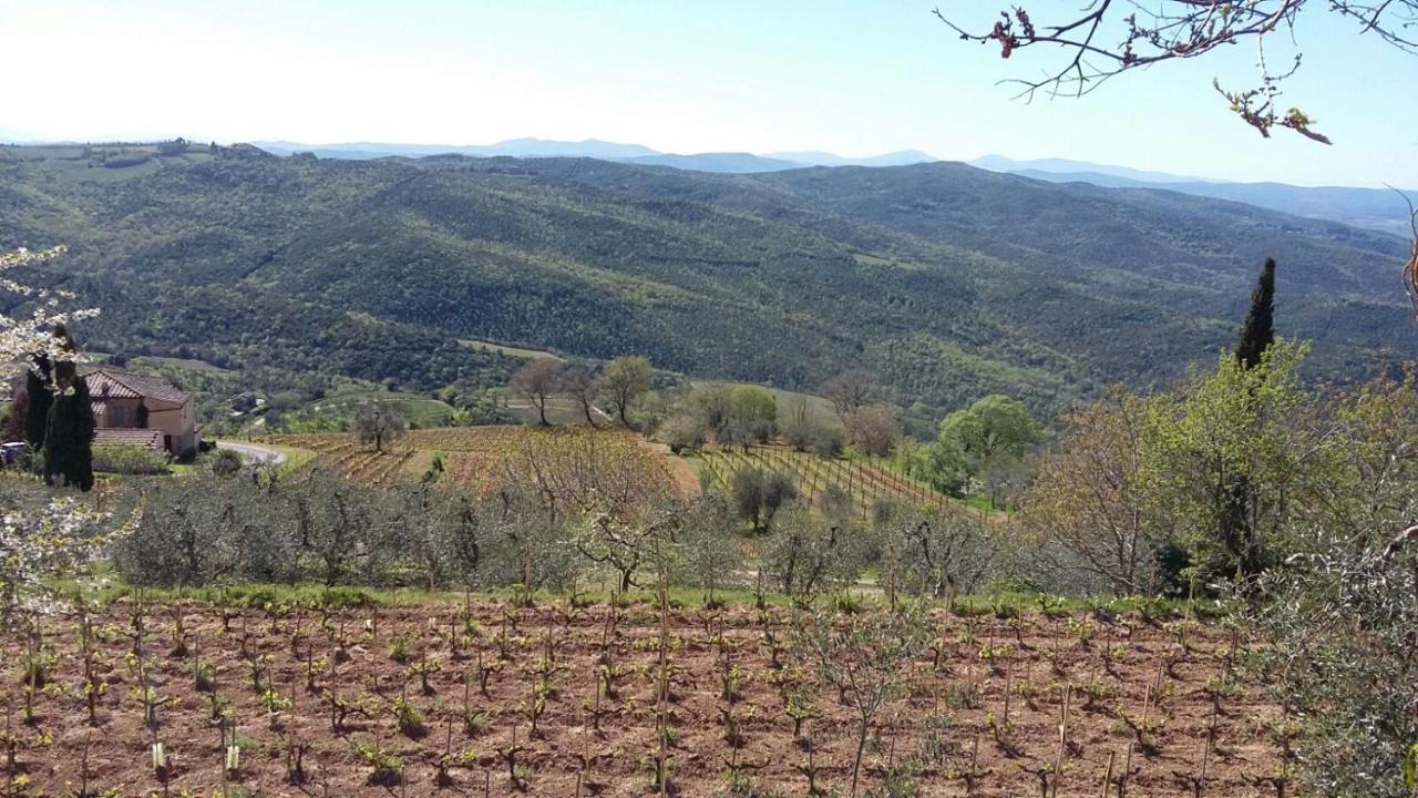 Podere Soccorso Casa Vigneto 몬탈치노 외부 사진